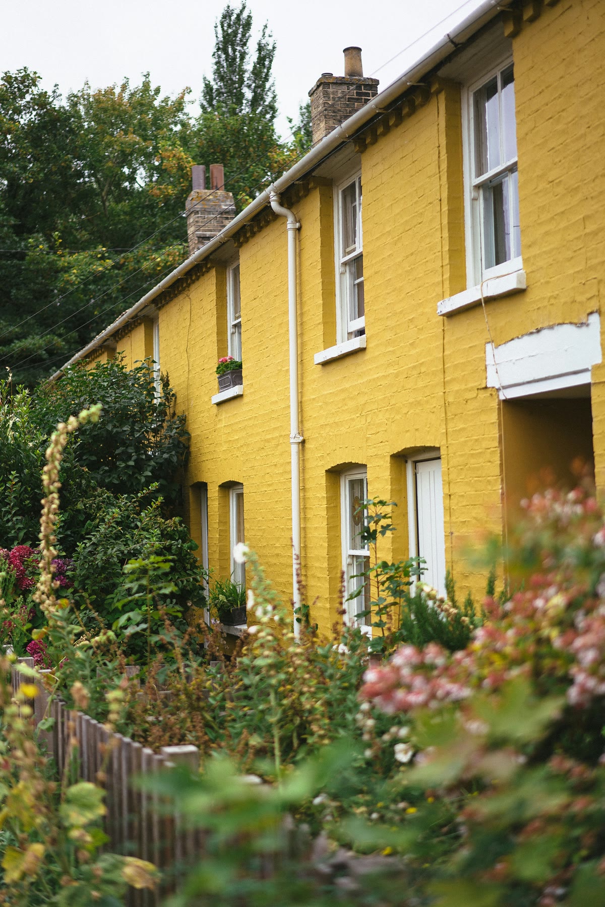 A calm, sunlit home